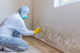 Mold Removal for HVAC Installations in Redstone Arsenal, AL