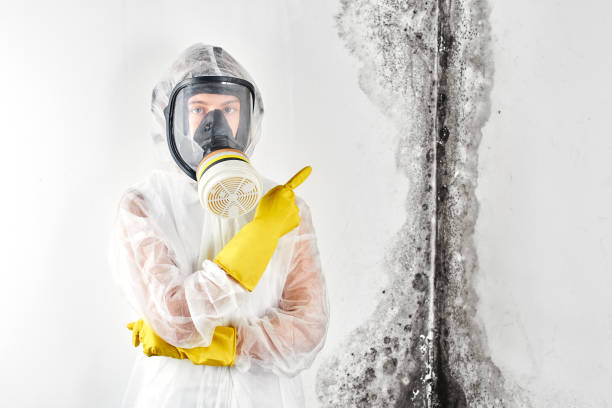 Environmental Consulting for Mold Prevention in Redstone Arsenal, AL