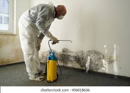 Why You Should Choose Our Mold Remediation Services in Redstone Arsenal, AL